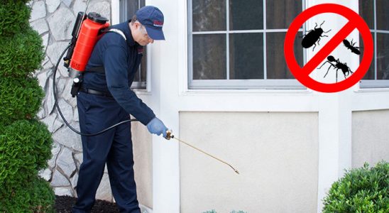 Mazıdağı Uçan Haşere İlaçlama böcek ilaçlama ve haşere kontrolü — ilaclama-tr.com